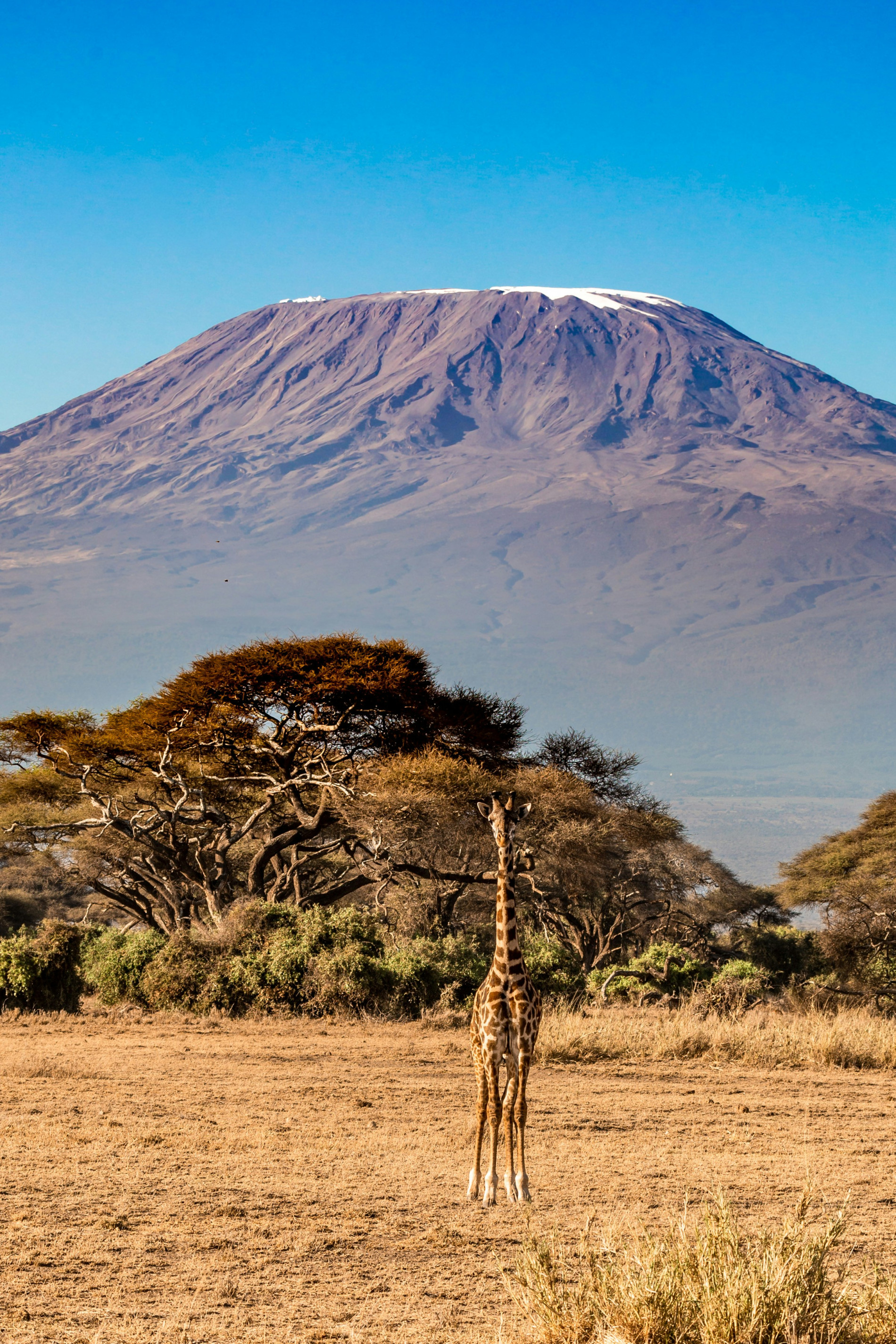 Africa Mount Kilimanjaro Adventures Africa Mount Kilimanjaro Adventures - EAST Africa Mount Kilimanjaro Adventures Africa Mount Kilimanjaro Adventures - EAST