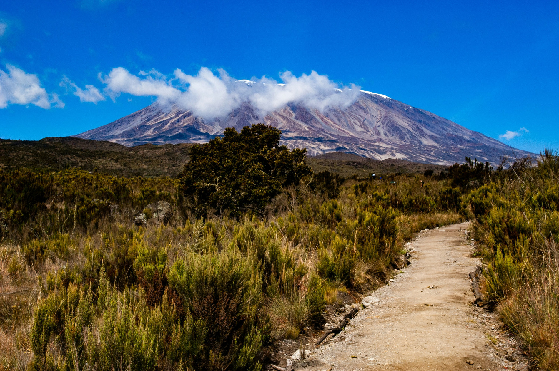 Africa Mount Kilimanjaro Adventures Africa Mount Kilimanjaro Adventures - EAST Africa Mount Kilimanjaro Adventures Africa Mount Kilimanjaro Adventures - EAST