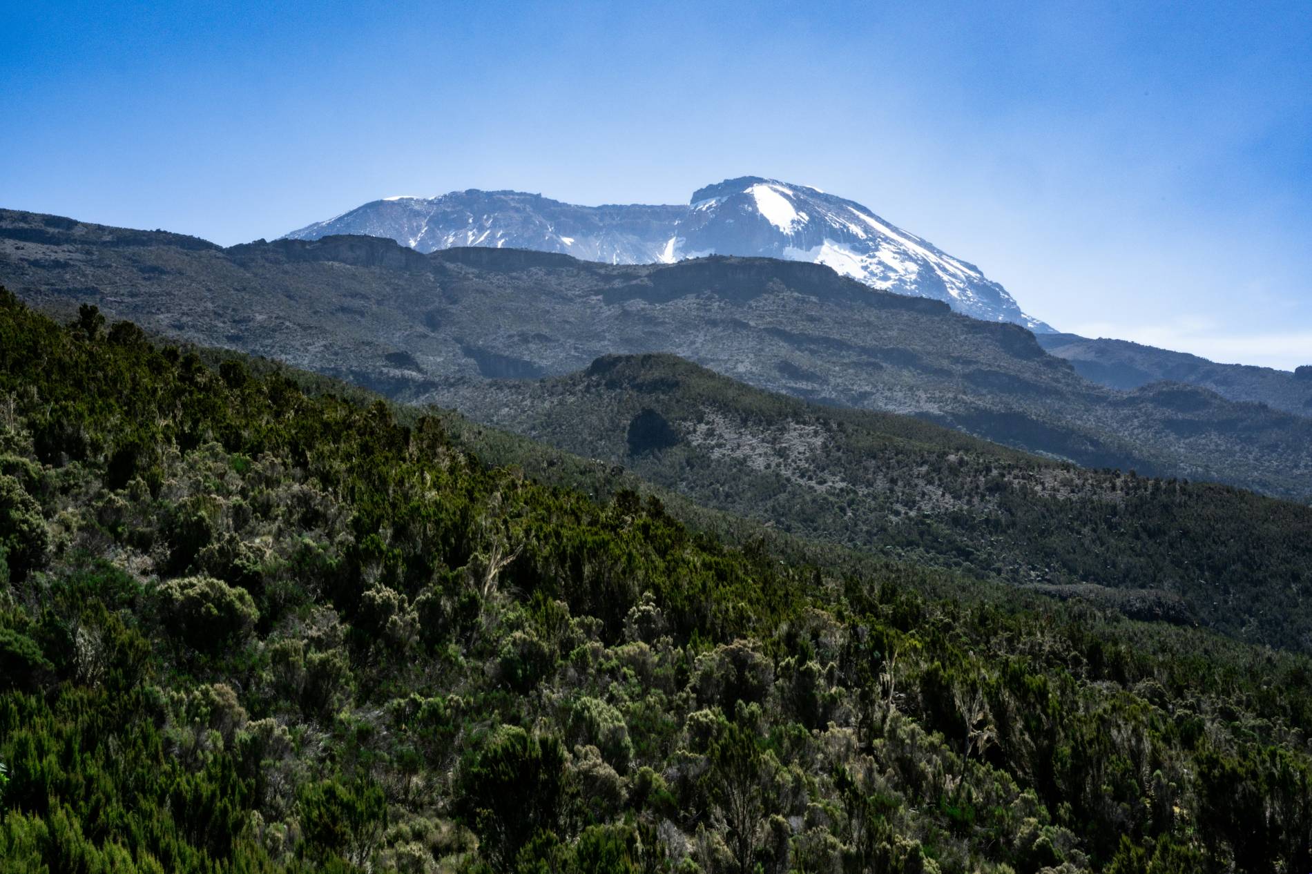 Kilimanjaro in Tanzania: 5 Best Treks  - EAST