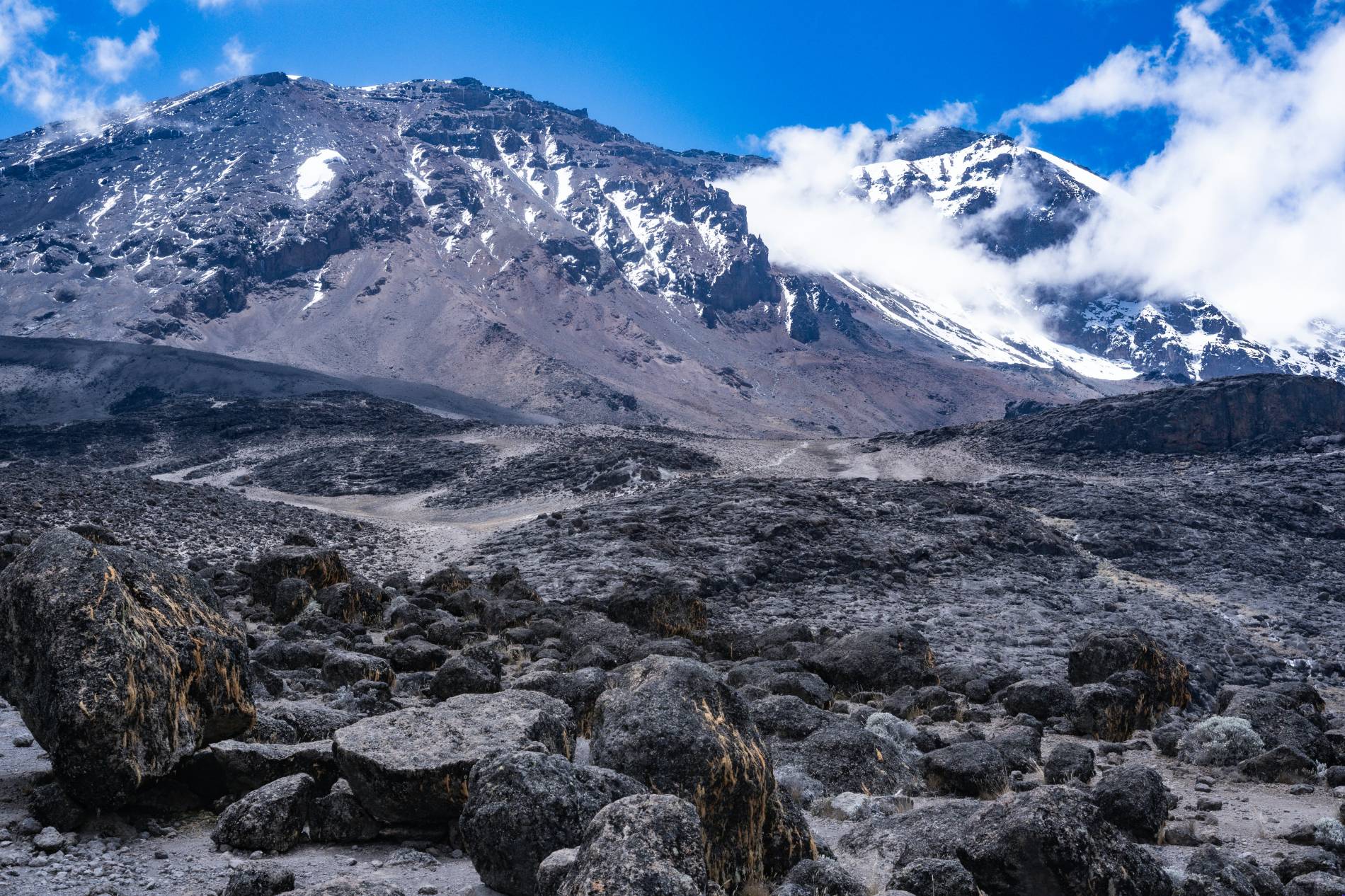 Kilimanjaro in Tanzania: 5 Best Treks  - EAST