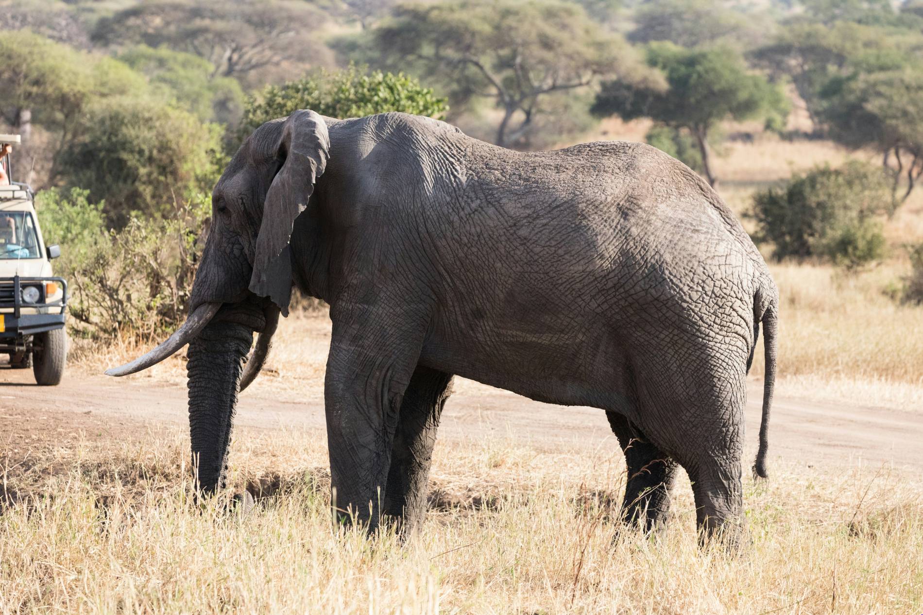 Tanzania Visa Information: Secret Tips Tanzania Visa Information - EAST
