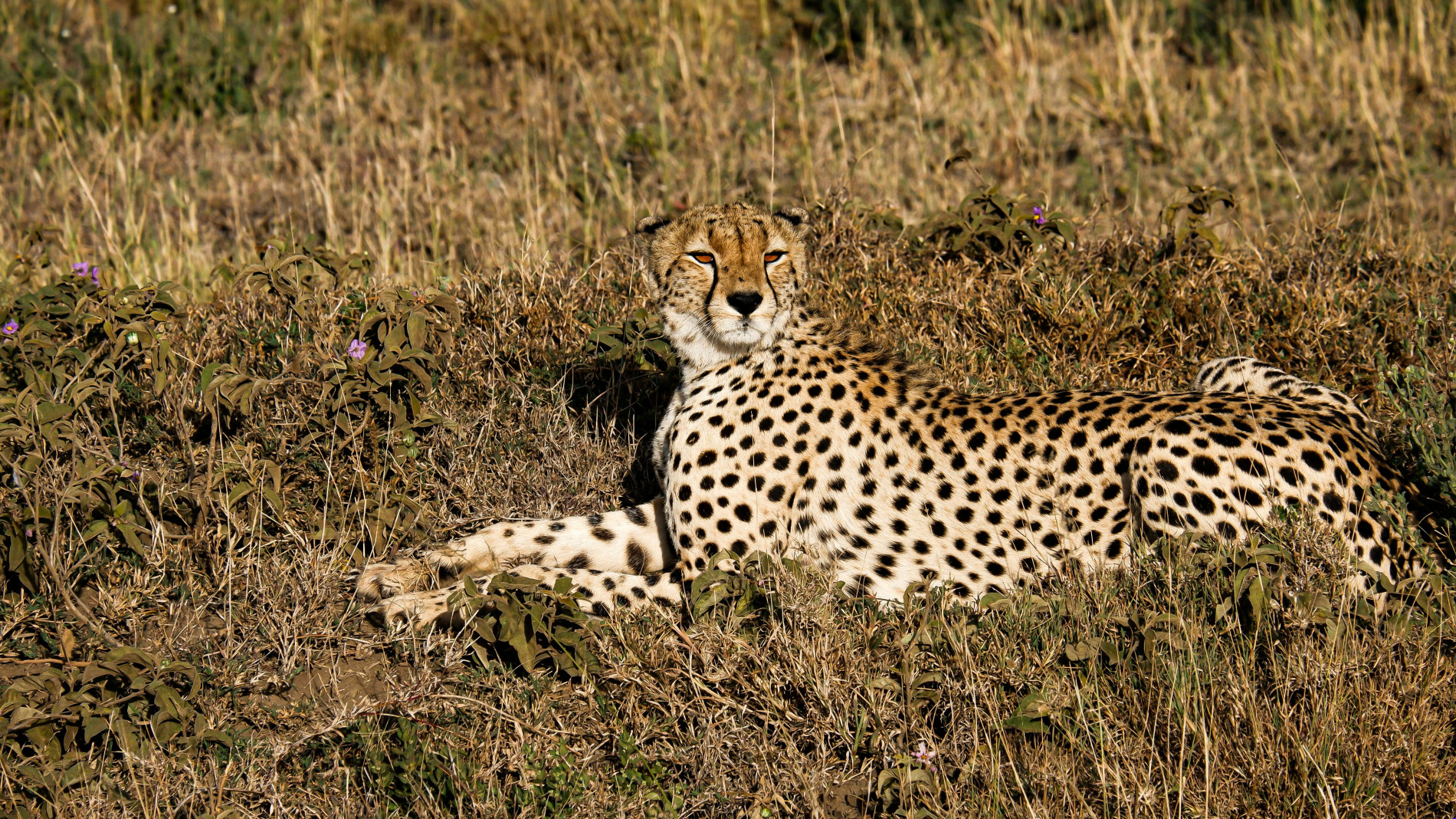 East Africa Travel Company: Top 5 Adventures East Africa Travel Company - EAST