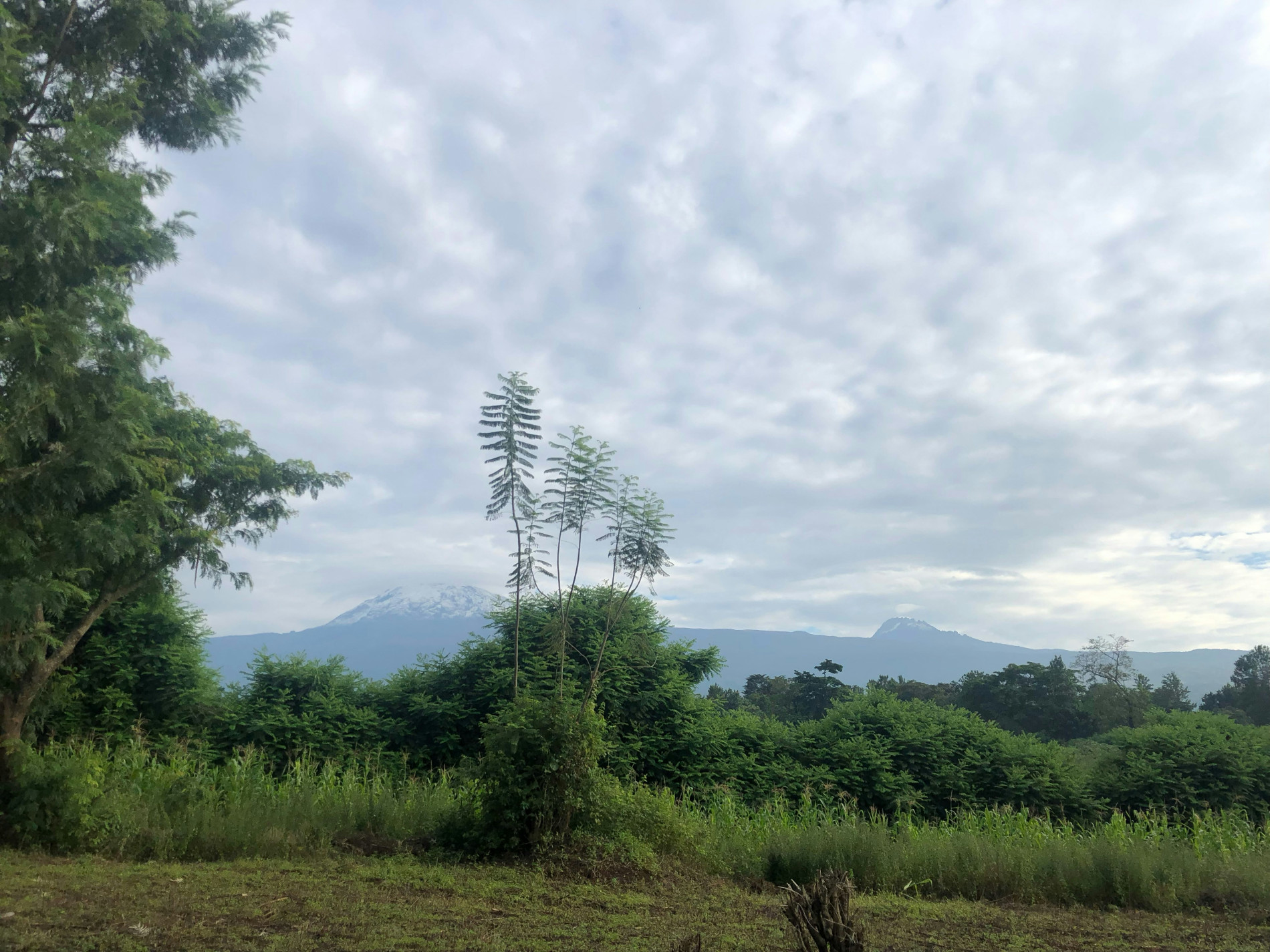 Materuni Waterfalls Tour: 1 Best Epic Day - EAST Materuni Waterfalls Tour: 1 Best Epic Day - EAST