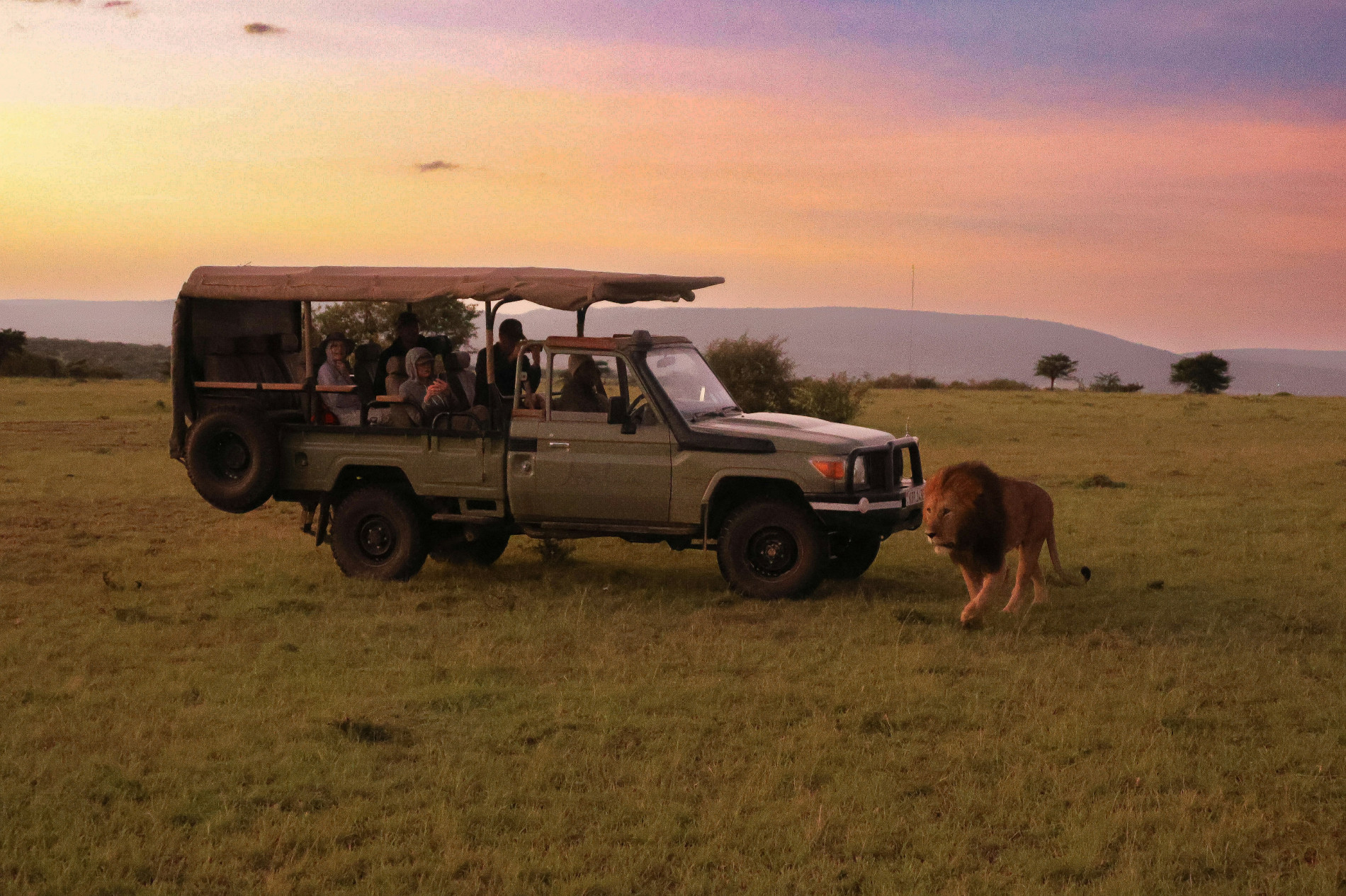 Safaris: Unforgettable 5-Star African Trips - EAST Safaris: Unforgettable 5-Star African Trips - EAST