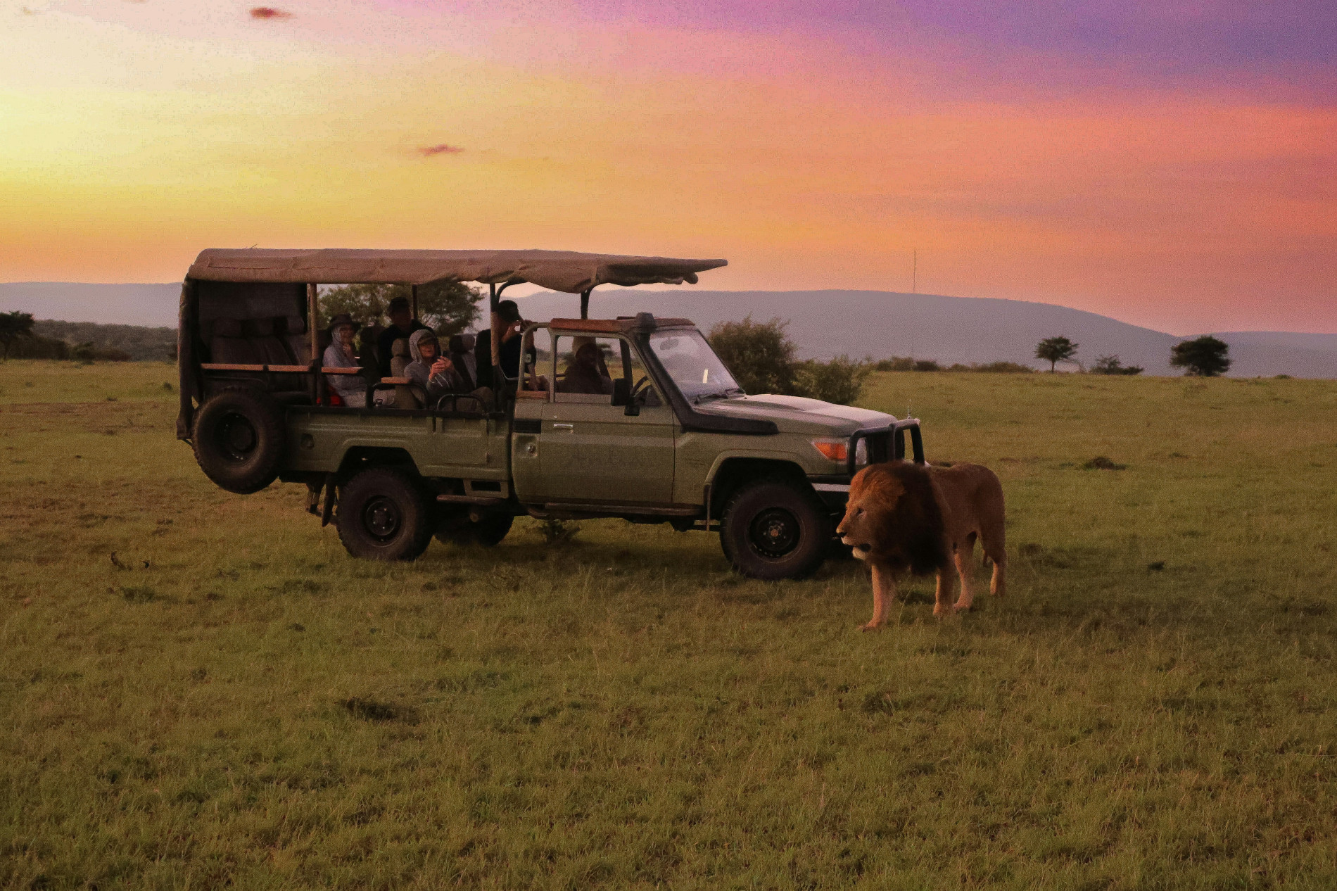 Terms and Conditions: Safe Safari Rules Terms and Conditions - EAST