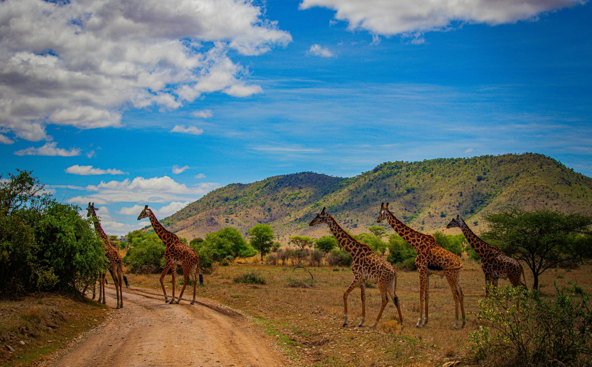 Tanzania Visa Information: Secret Tips Tanzania Visa Information - EAST