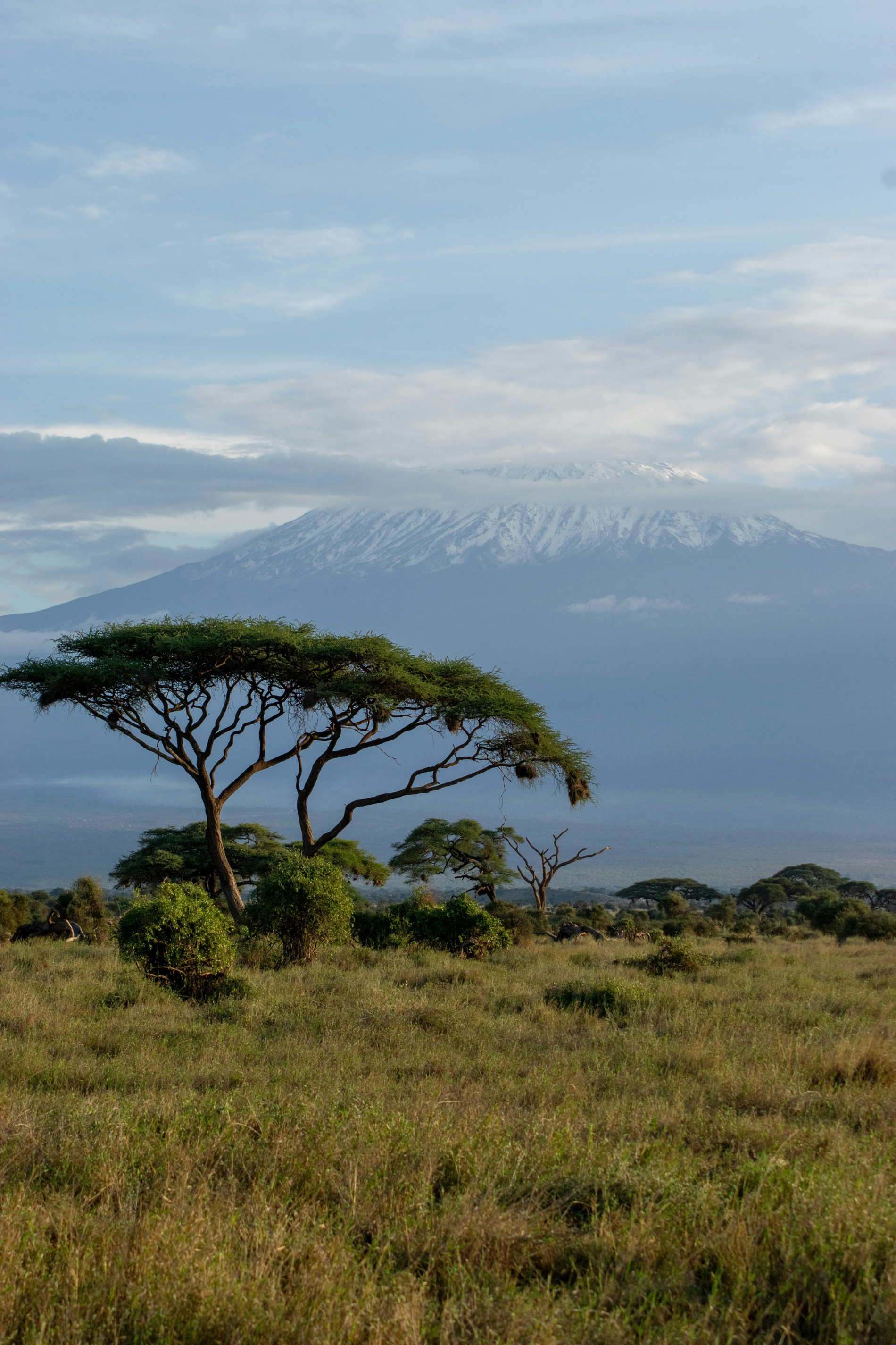 East Africa Travel East Africa Travel - EAST