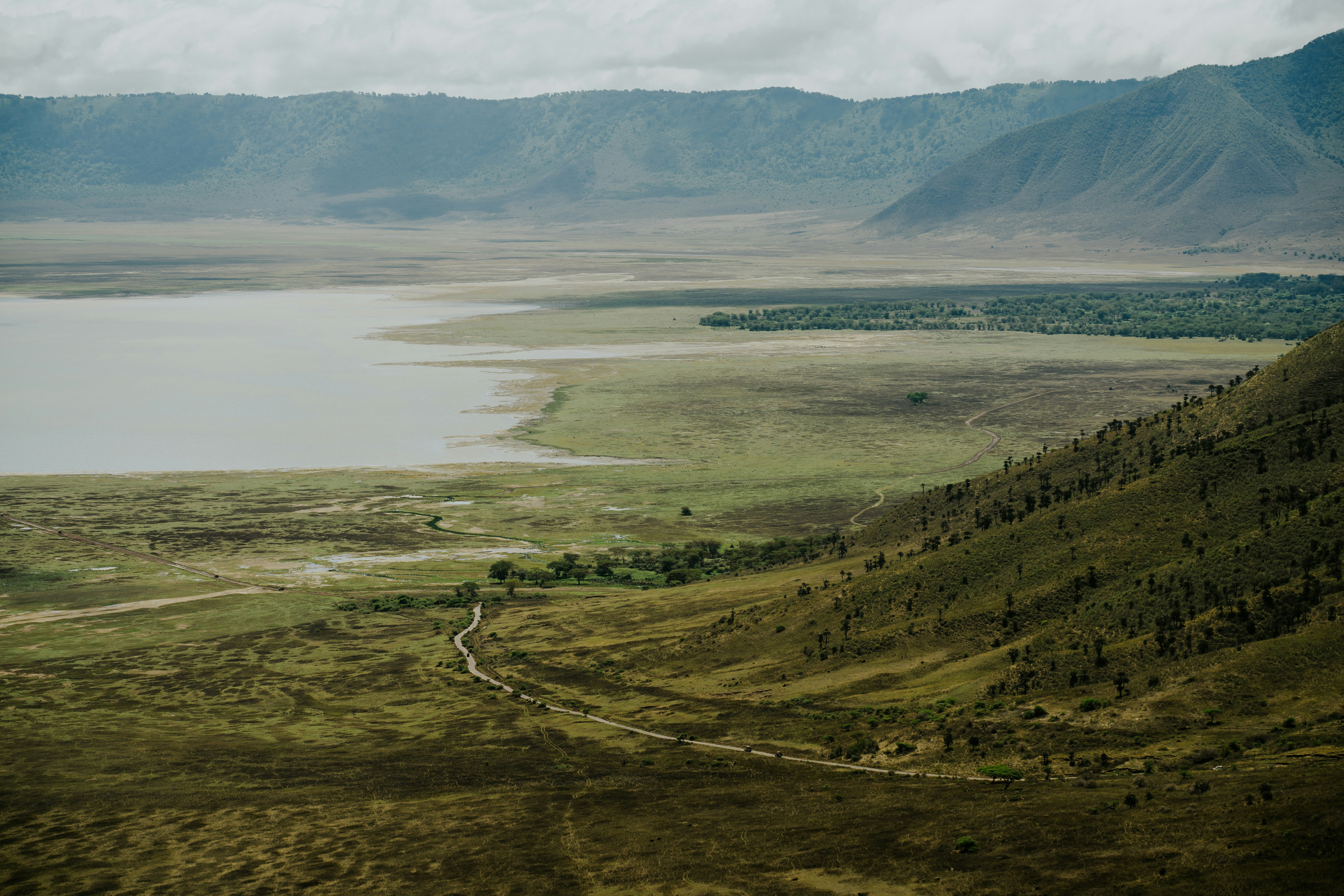 Ngorongoro Crater Safari  - EAST