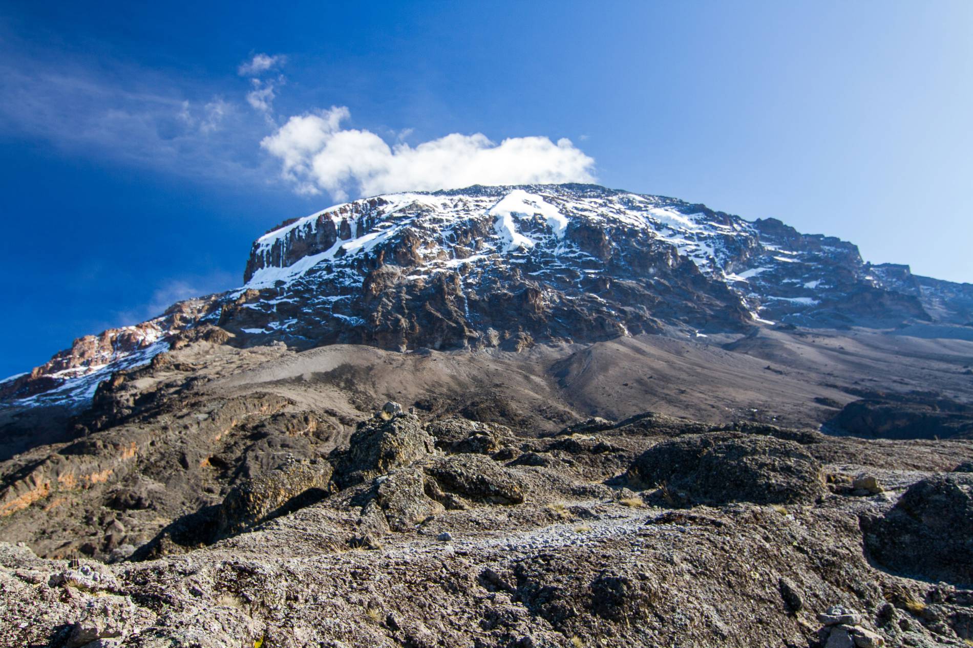 Mount Kilimanjaro in Tanzania: 1 Epic Trek Mount Kilimanjaro in Tanzania - EAST