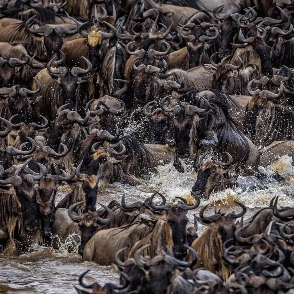 Mount Kilimanjaro Africa: 4 Best Safaris  - EAST
