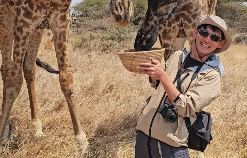 Servals: Top Wildlife Adventures 1 Best Trip Servals - EAST Servals: Top Wildlife Adventures 1 Best Trip Servals - EAST